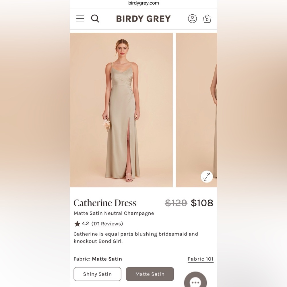 Birdy Grey Catherine Dress in Neutral Champagne